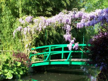 wisteria-giverny.jpg wisteria-giverny.jpg