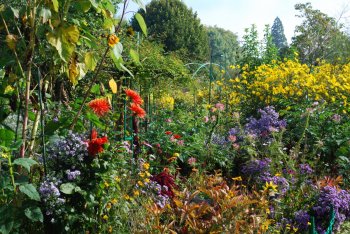 giverny-october.jpg giverny-october.jpg
