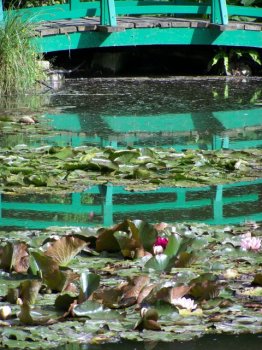 bridge-nymphea.jpg bridge-nymphea.jpg