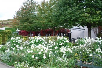 giverny-impressionism-museum-garden.jpg giverny-impressionism-museum-garden.jpg
