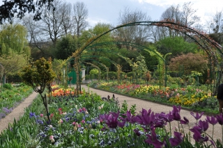 giverny-04-20-2012