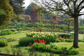 giverny-spring.jpg