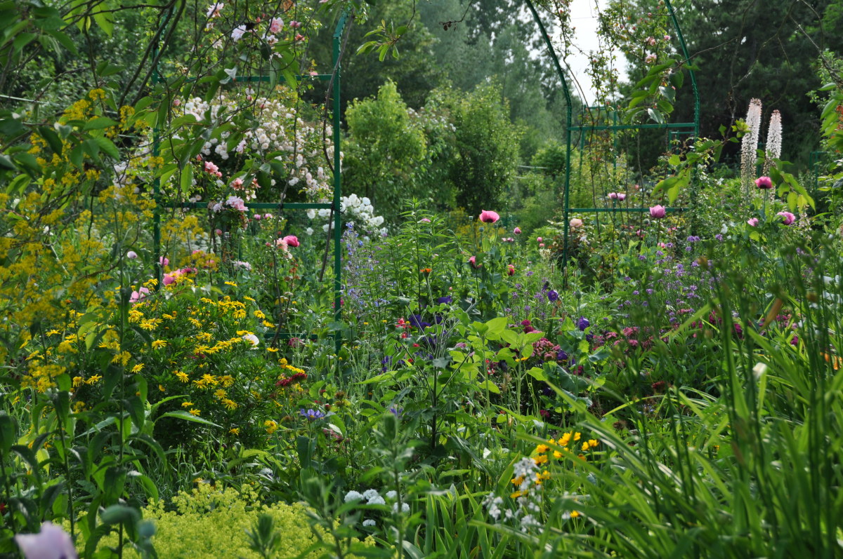 june-giverny