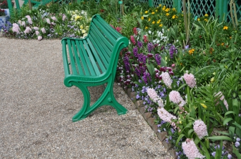 bench-hyacinths