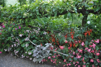 flower-border