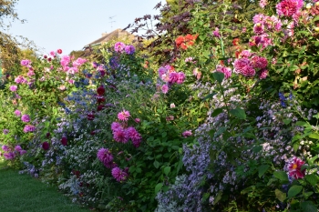 giverny-october-flowers