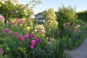 pink-alley-giverny