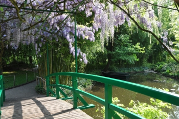 wisteria-boats-giverny