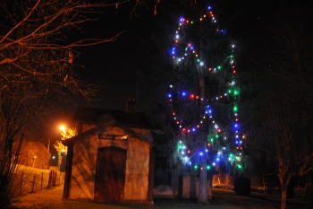 christmas-tree-giverny