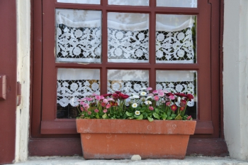 curtain-and-daisies