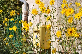 letterbox-giverny