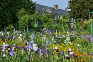 giverny-iris-time