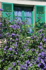 giverny-kitchen-window