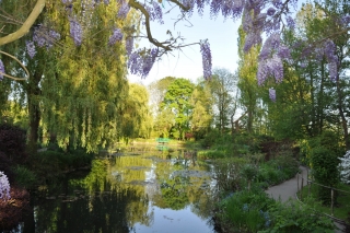 giverny-may