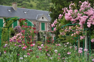 giverny-roses