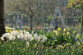 march-giverny