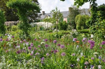 giverny-alliums.jpg