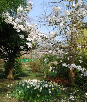 giverny-april