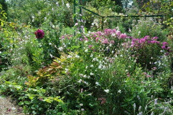 giverny-summer