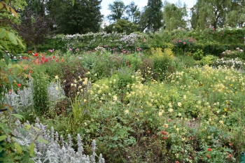 june-colombine-giverny