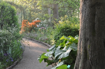 path-at-giverny