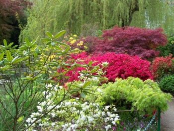 japanese-garden.jpg