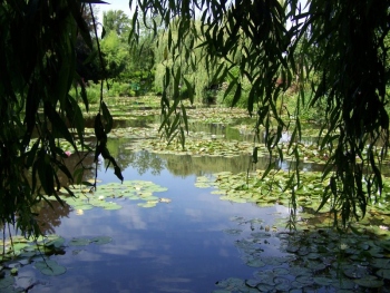 monet-giverny.jpg