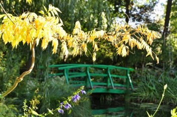 wisteria-monet.jpg