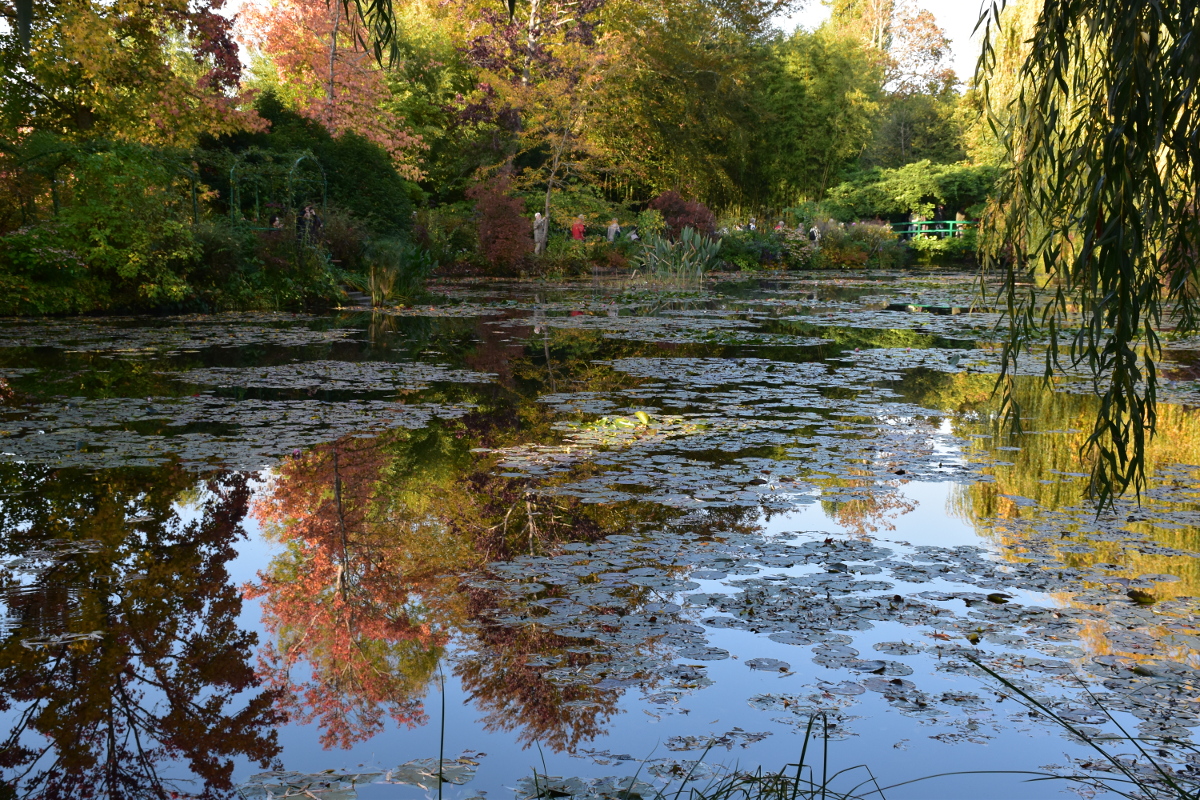 giverny-pond-october