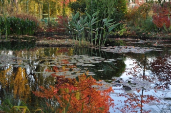 autumn-giverny