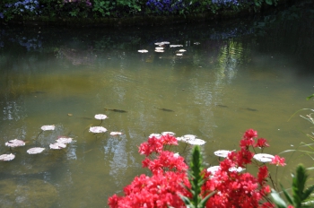 fish-giverny