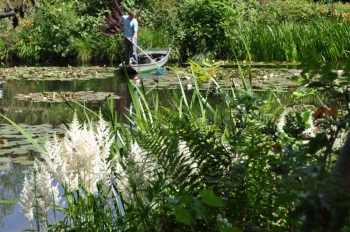 gardener-pond