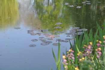 giverny-monet-pond