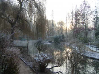 pond-in-winter.jpg