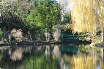 giverny-december