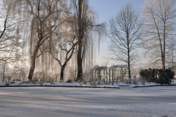 snow-giverny