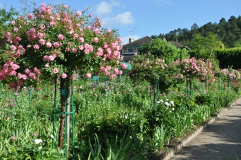 giverny089