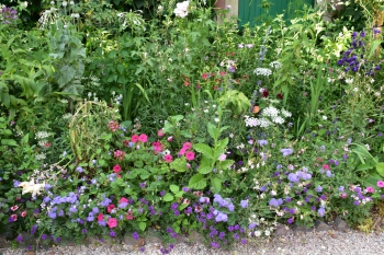 flower-bed-giverny