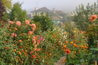 october-giverny